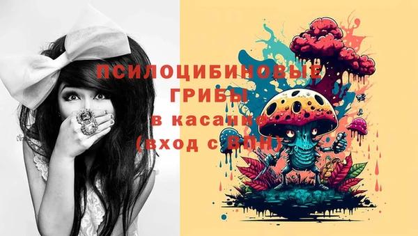 spice Алзамай